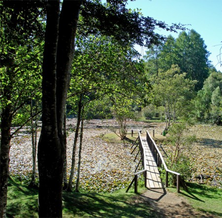 L-550 Parque Saval