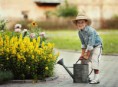 /album/quinto-varios/h-104-pequeno-jardinero-jpg/